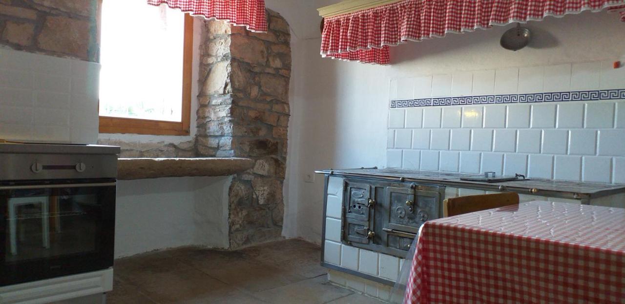 Rural Apartment Carolina Zrenj エクステリア 写真