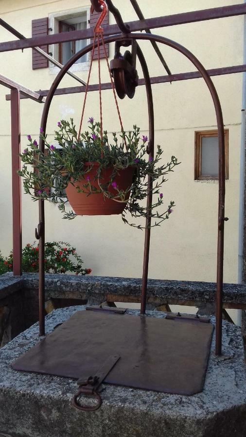 Rural Apartment Carolina Zrenj エクステリア 写真