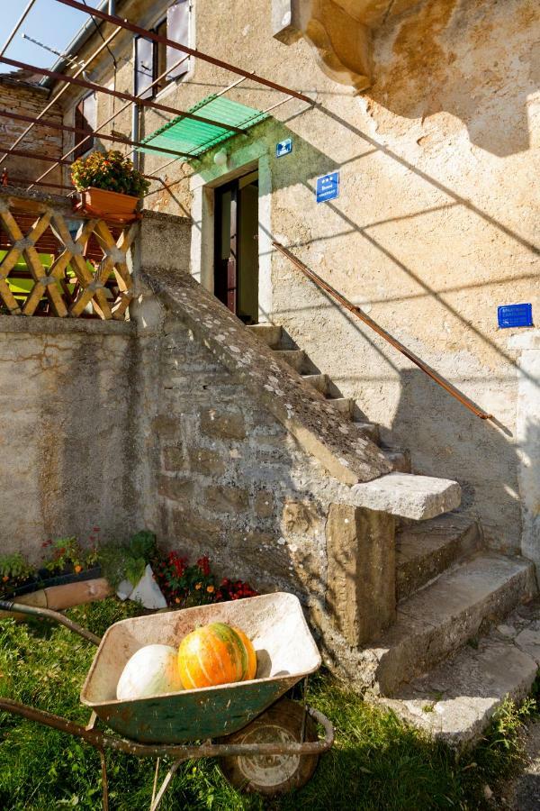 Rural Apartment Carolina Zrenj エクステリア 写真
